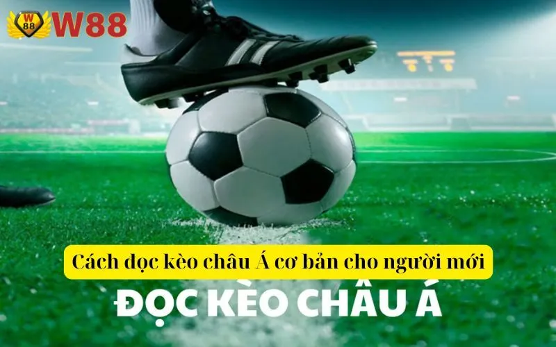 Cách đọc kèo châu Á cơ bản cho người mới