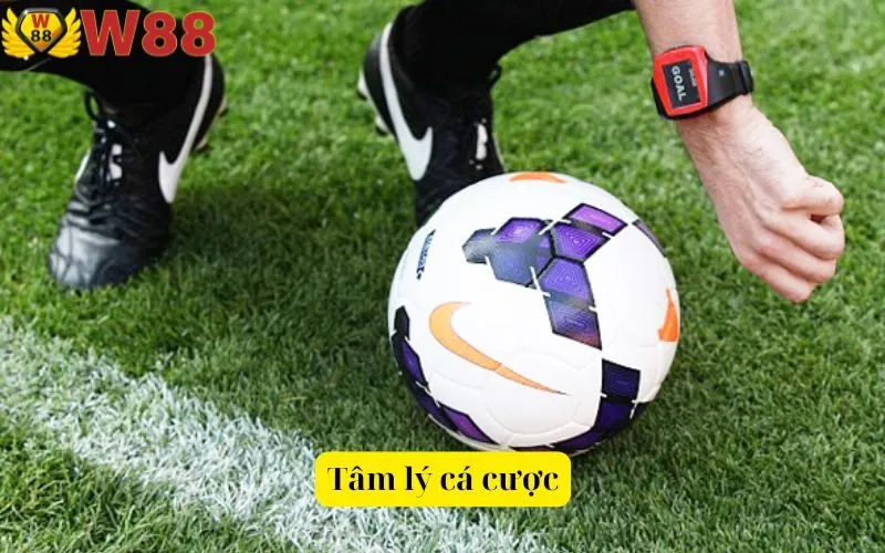 Tâm lý cá cược